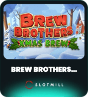 Brew Brothers: Xmas Brew